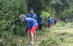 "Mùa hè xanh xôn xao bước chân ta về"